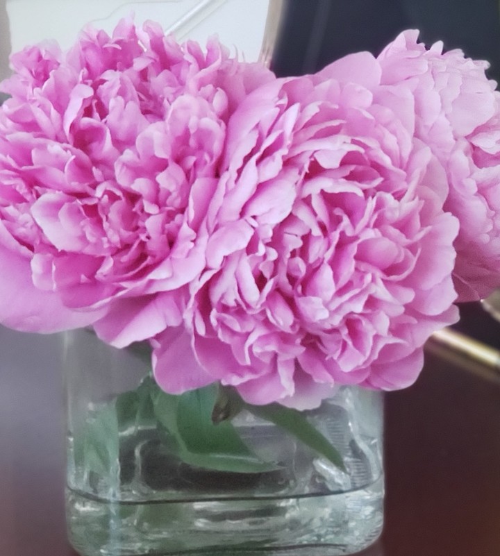 peonies