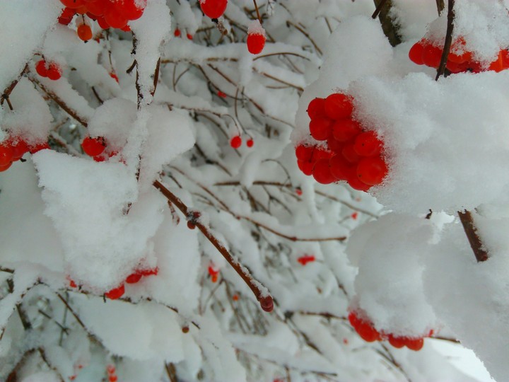 snow