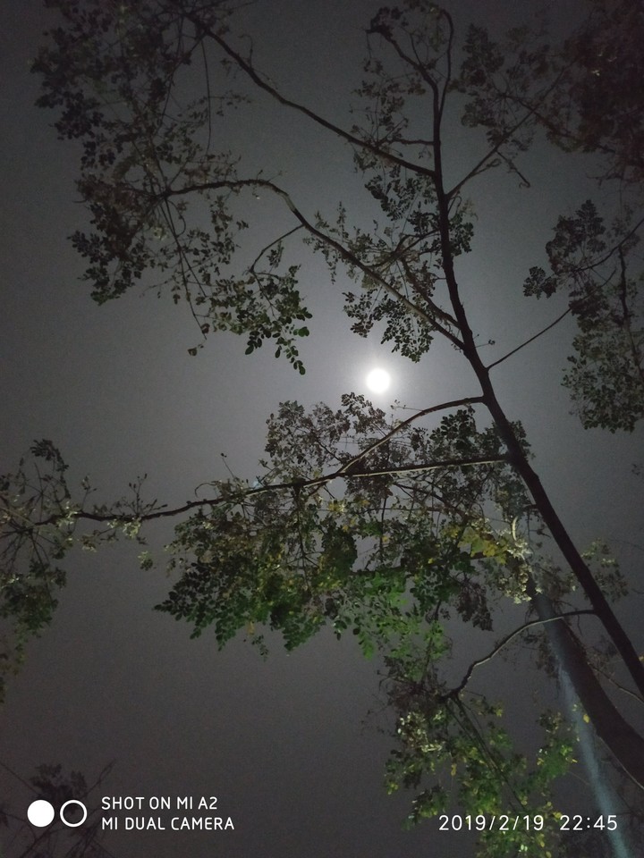Moom