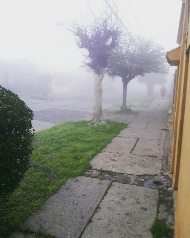 Una hermosa mañana