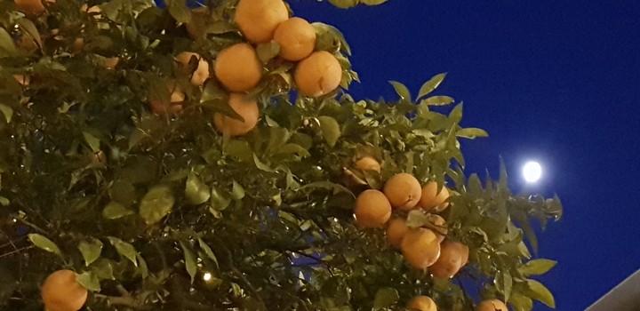 luna de Sevilla