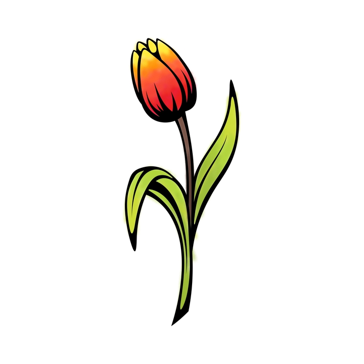 Tulip