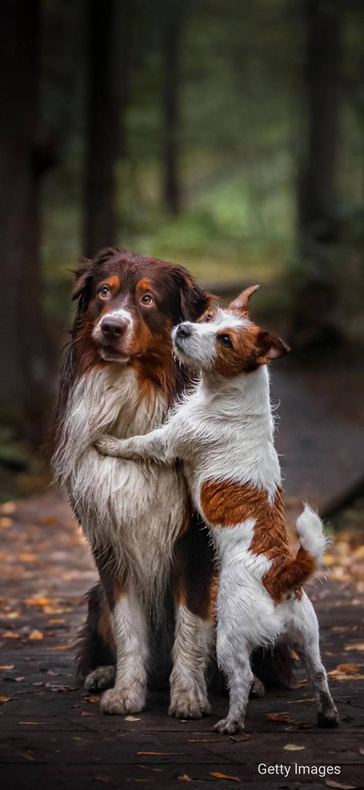 pure love