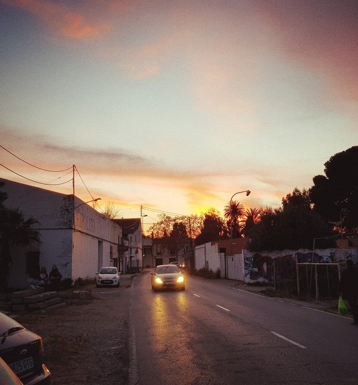 tardes de primavera