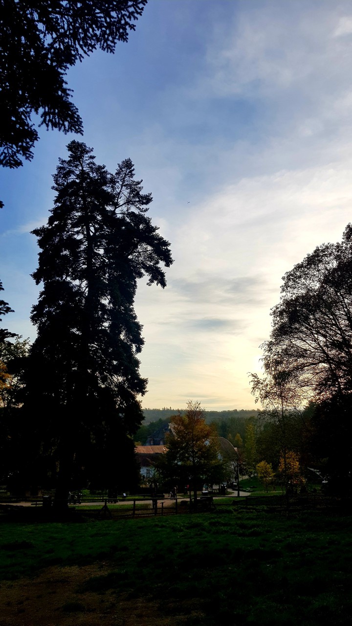 Natur