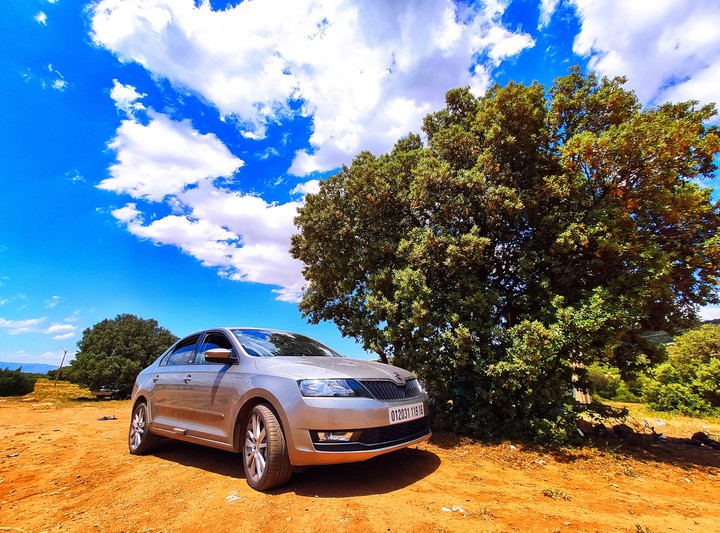 car Skoda rapid