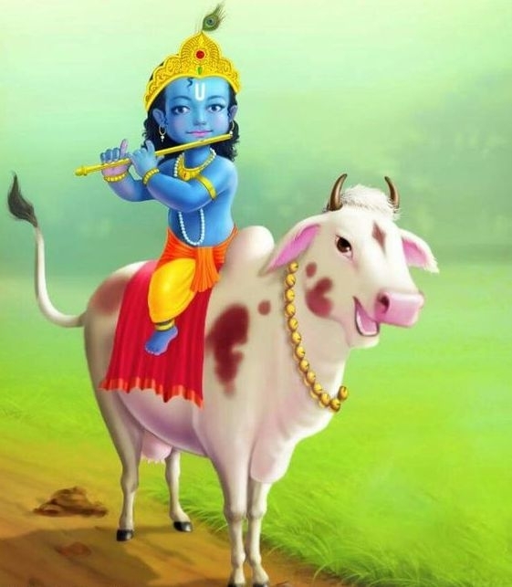 love kanha
