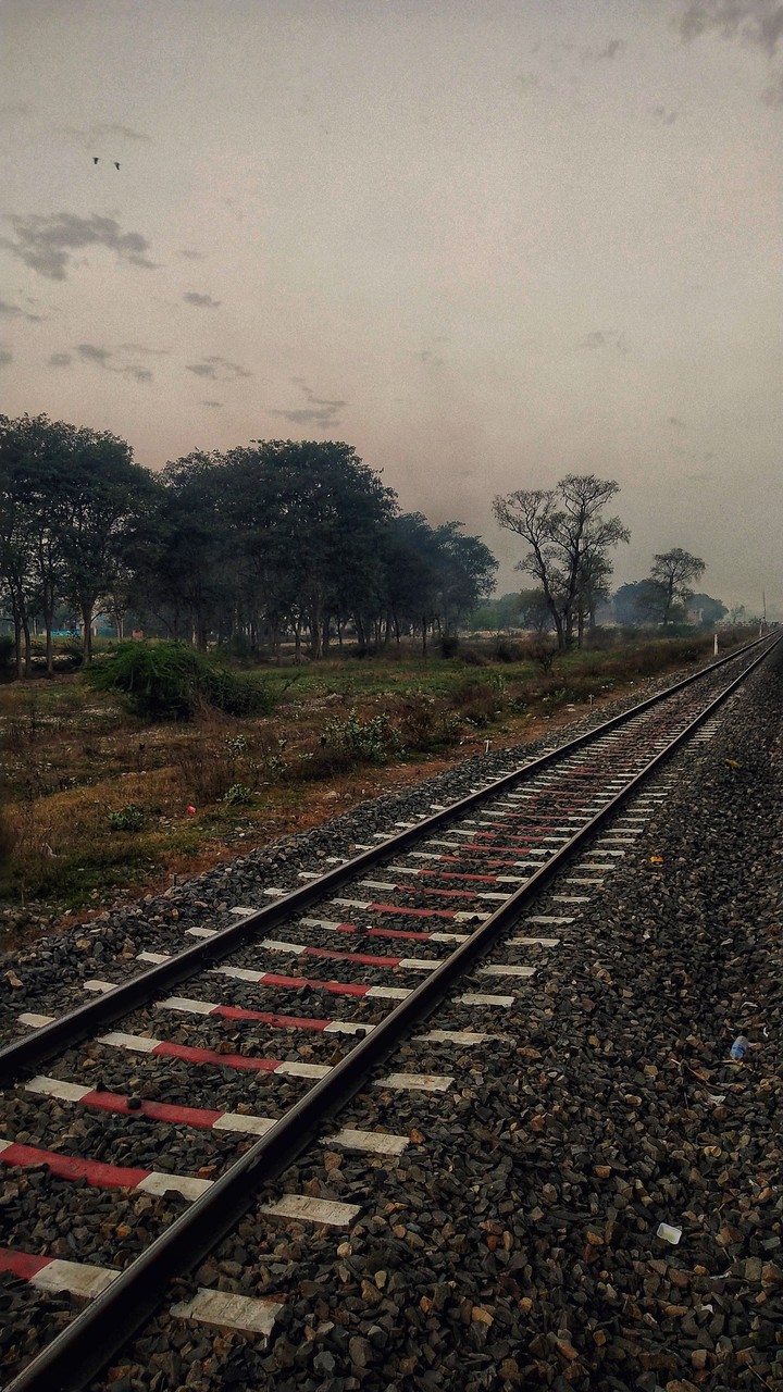 Track