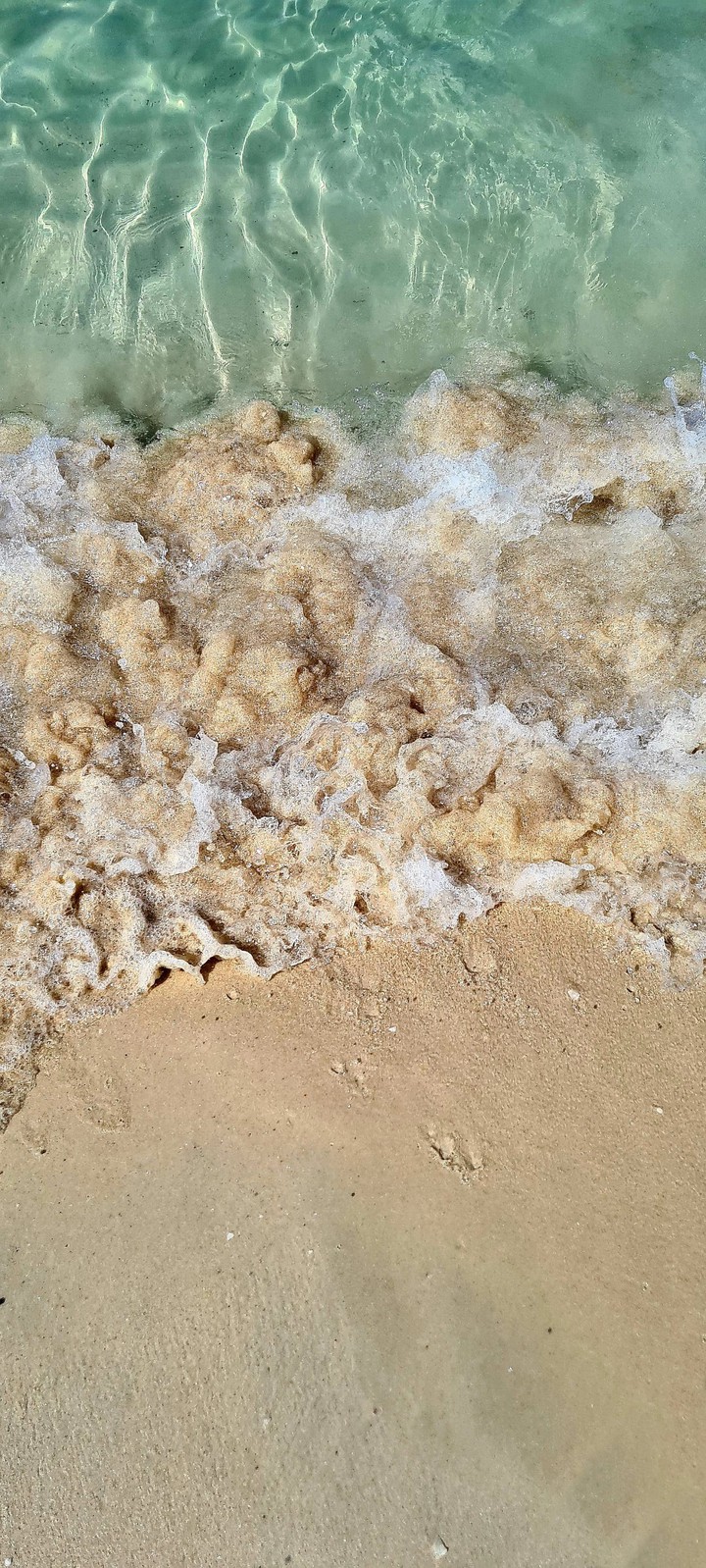 sea