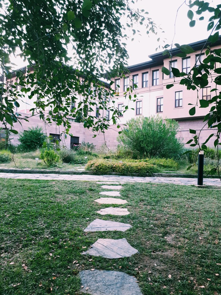 Yürüyüş