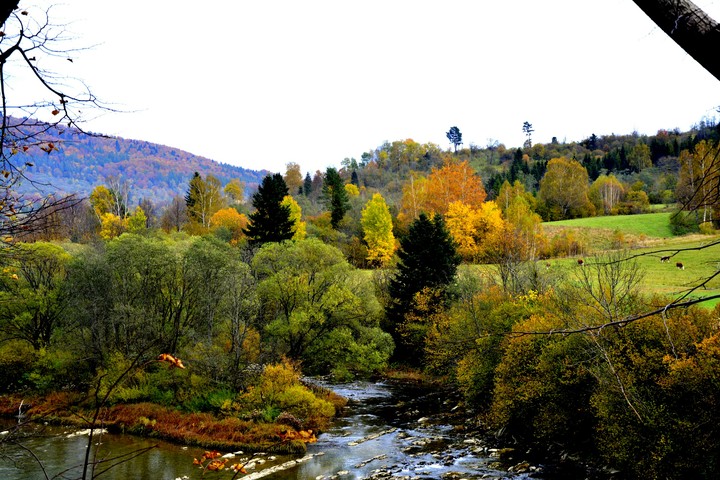 Autumn