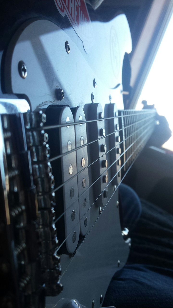 Guitar