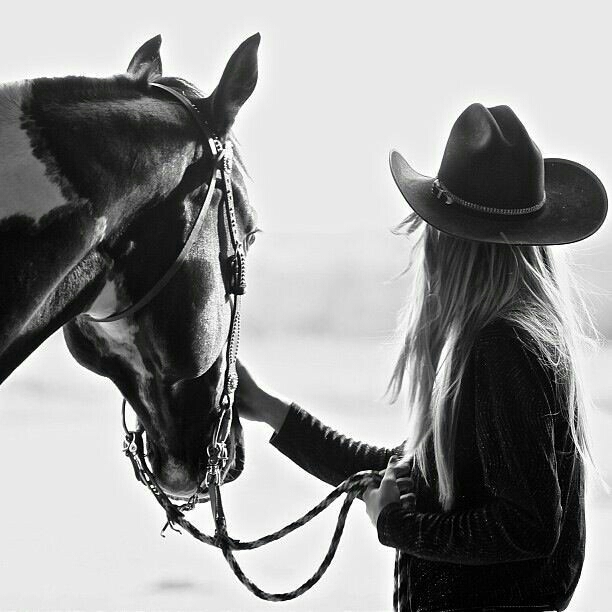 California Horses