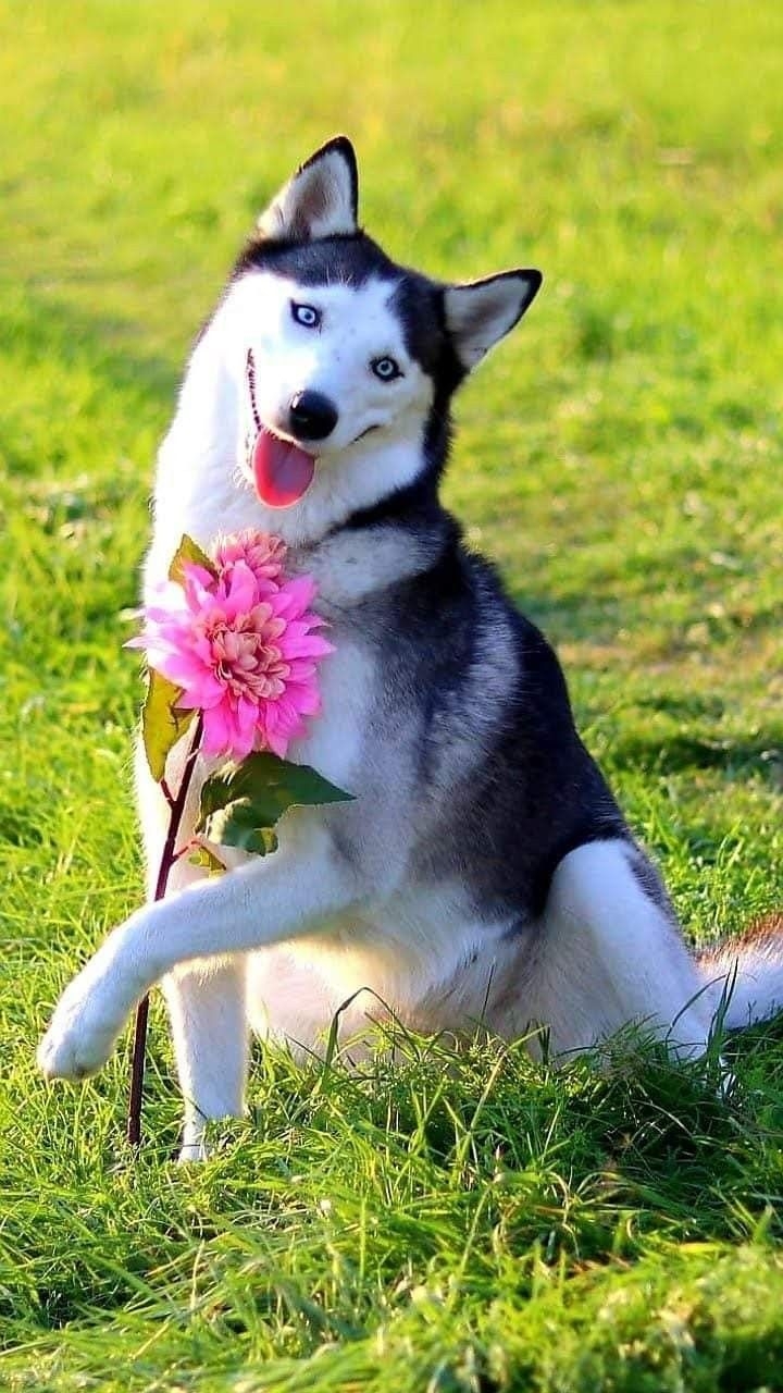 .