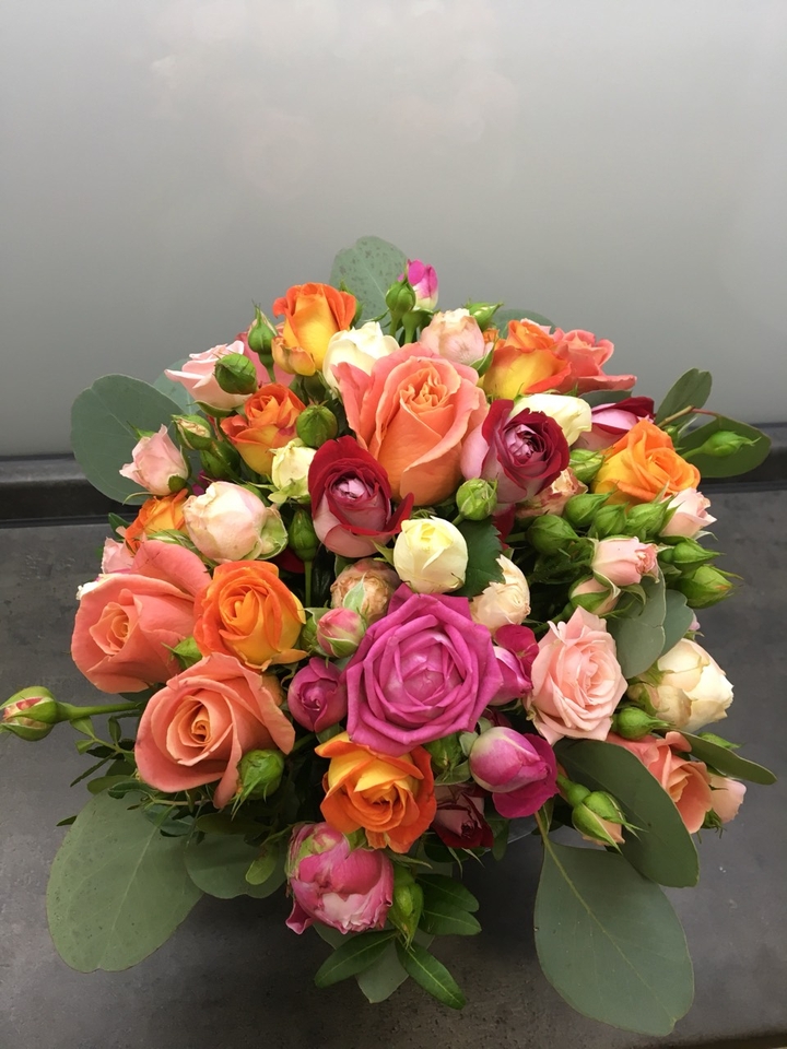 and again roses