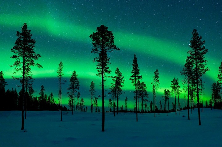 Alaska artic