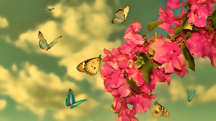 500px