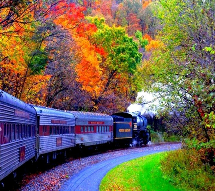coloured train