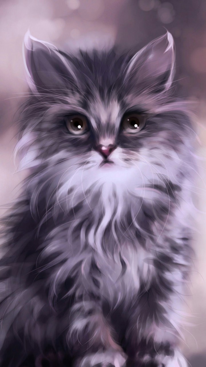 кот