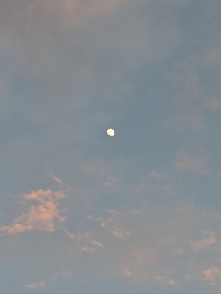 Luna
