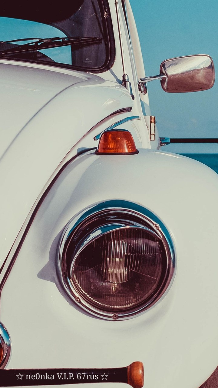 auto