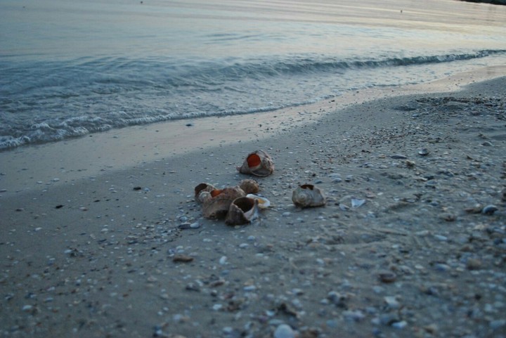 море