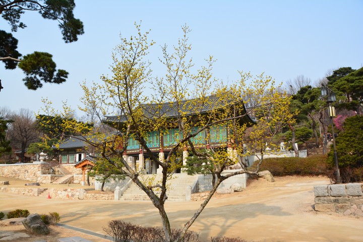 풍경이미지