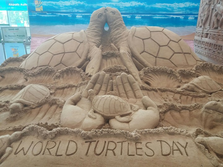 sand sculpture on world Turtles day.