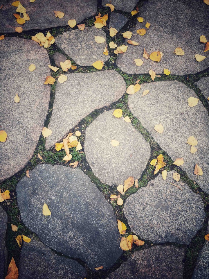 Autumn marks