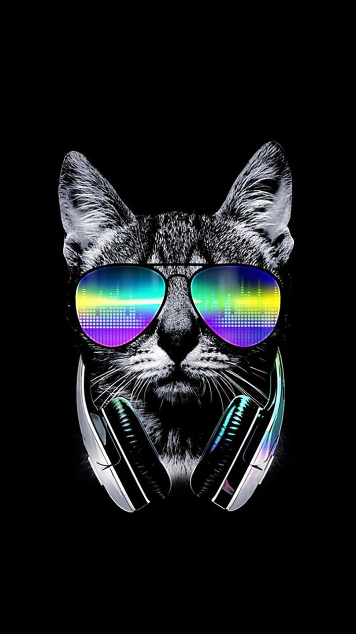 gatinho vida loka