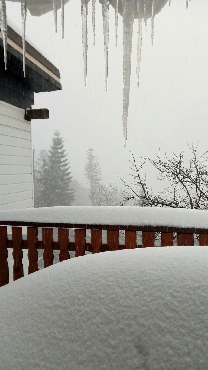 Snowy day