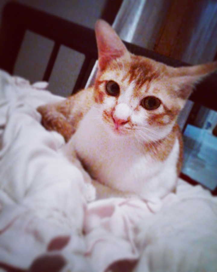 My baby, Pie 
