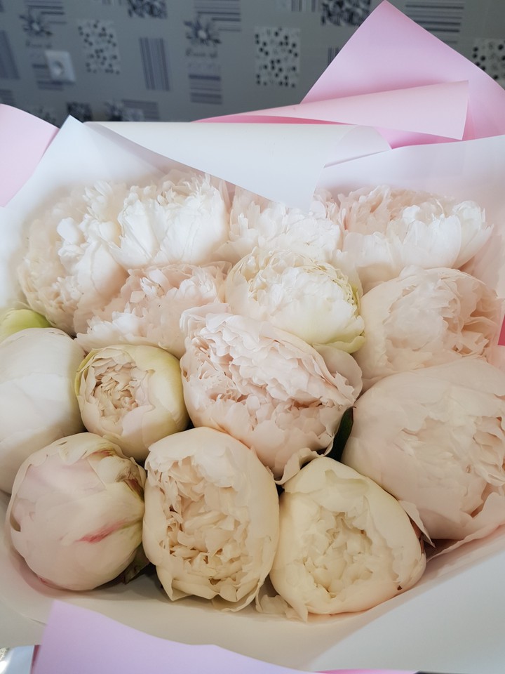 #peony