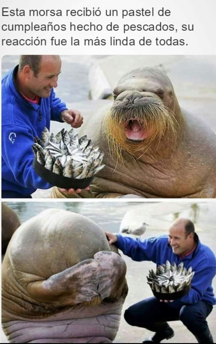 28122020