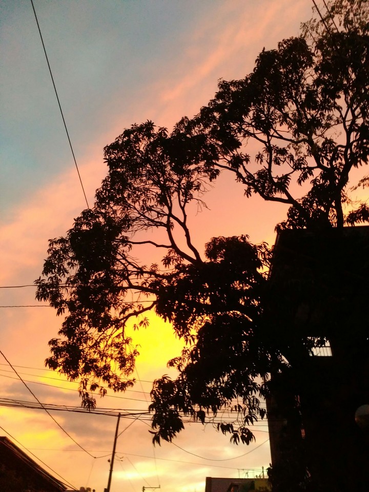 Glorious Sunset