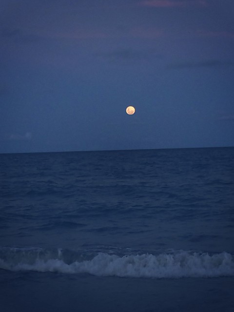 Lua rara 07/04.