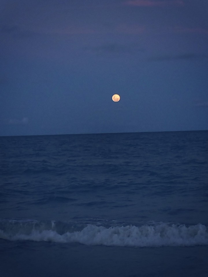 Lua rara 07/04.