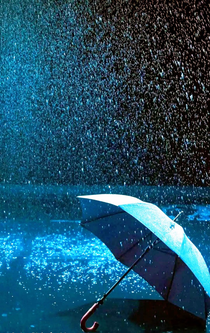 Rainy Day
