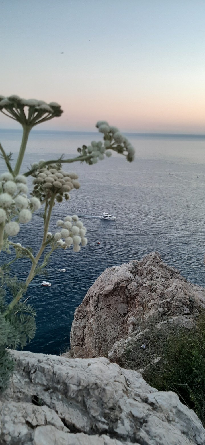 Crimea