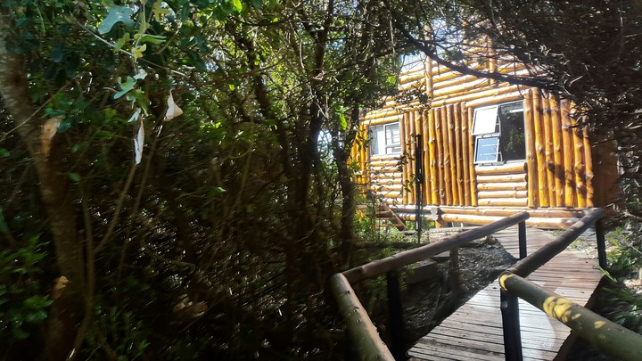 The House in The Woods