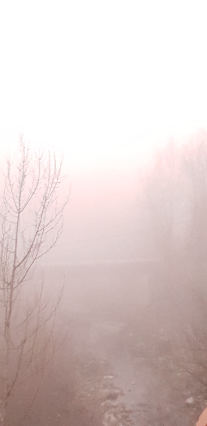 nebbia