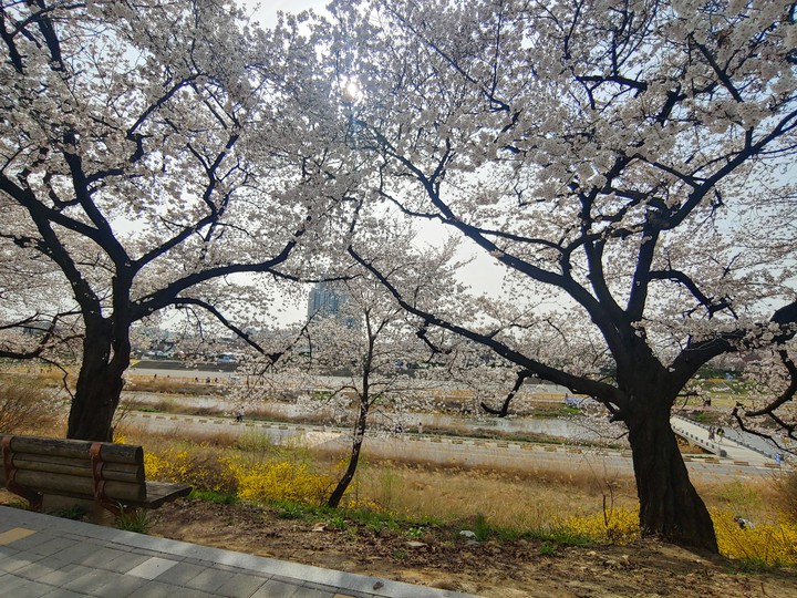 봄