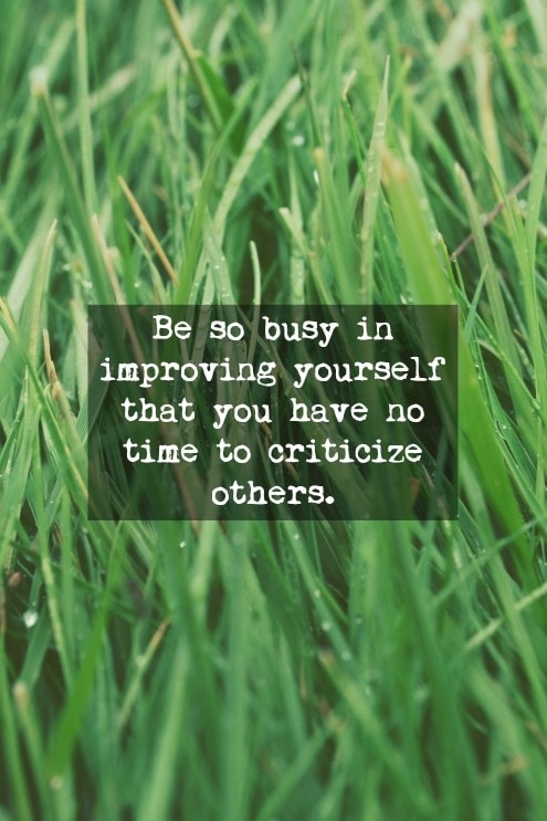 busy..