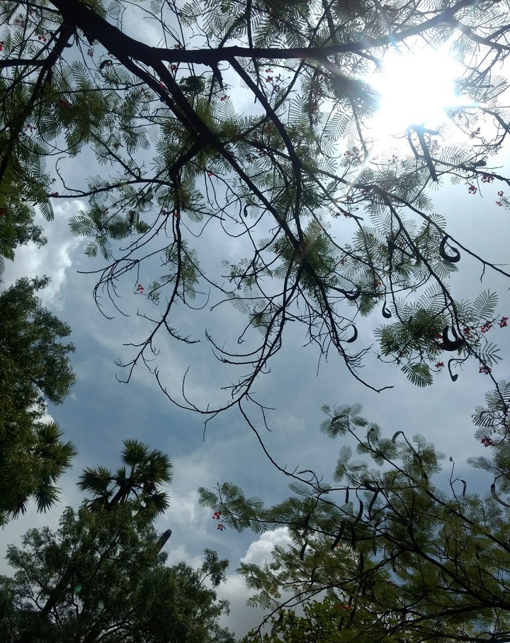 Sunshine!!