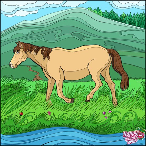 Cavalo