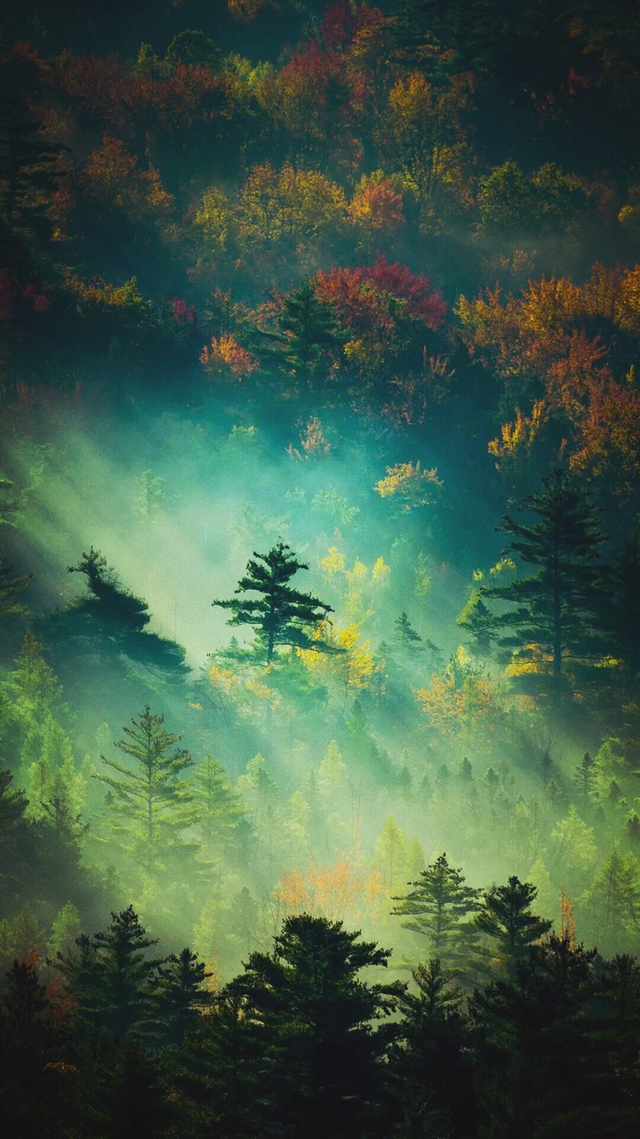 Nature