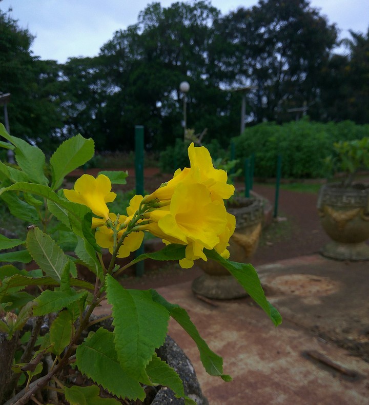 my click