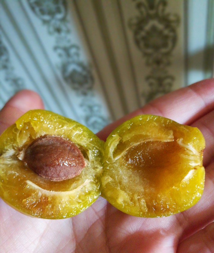 слива
