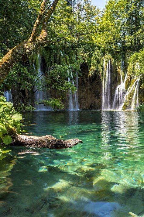 naturaleza