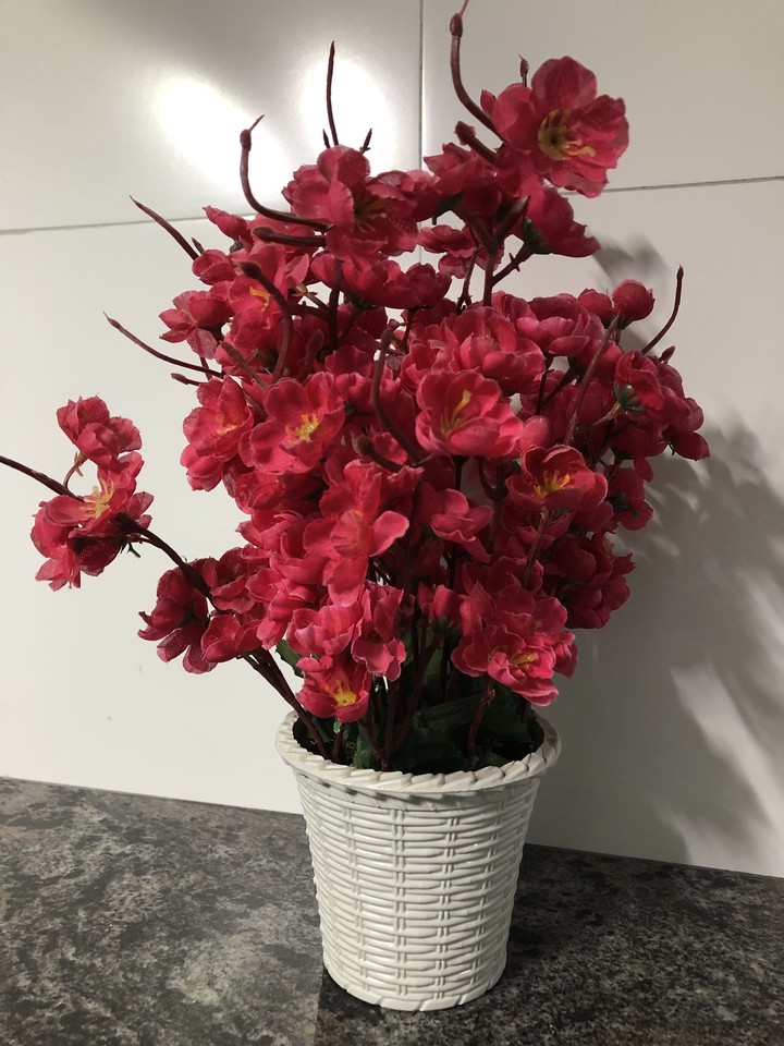 A Flower Pot